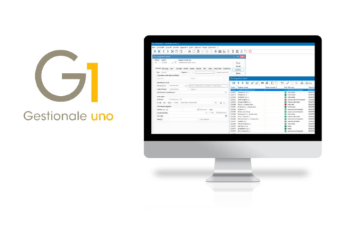 Gestionale1-1.jpg
